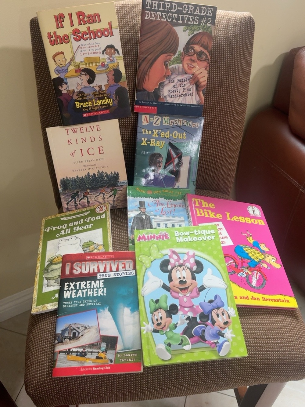 Kids Reading Book Bundle Frog and Toad Berenstain Bears Scholastic 7 Books